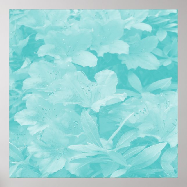 Poster Azaleas.... (Frente)