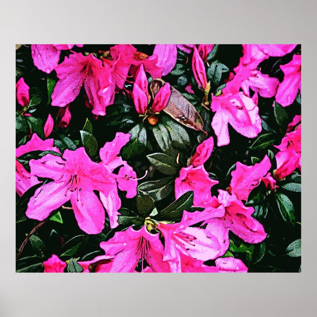 Poster Azaleas 6082 (Frente)