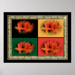 Pôster Azaleas laranja