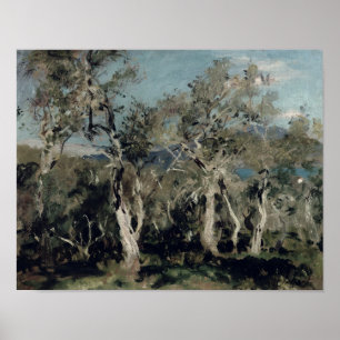 Poster Azeitonas, Corfu, 1912