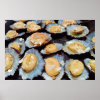 Azores "lapas" limpets