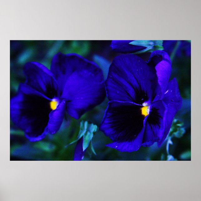 Pôster Azul (Frente)