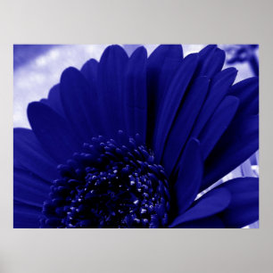 Pôster Azul