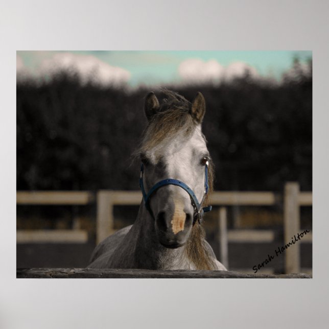 Poster Azul (Frente)