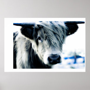 Pôster Azul das montanhas