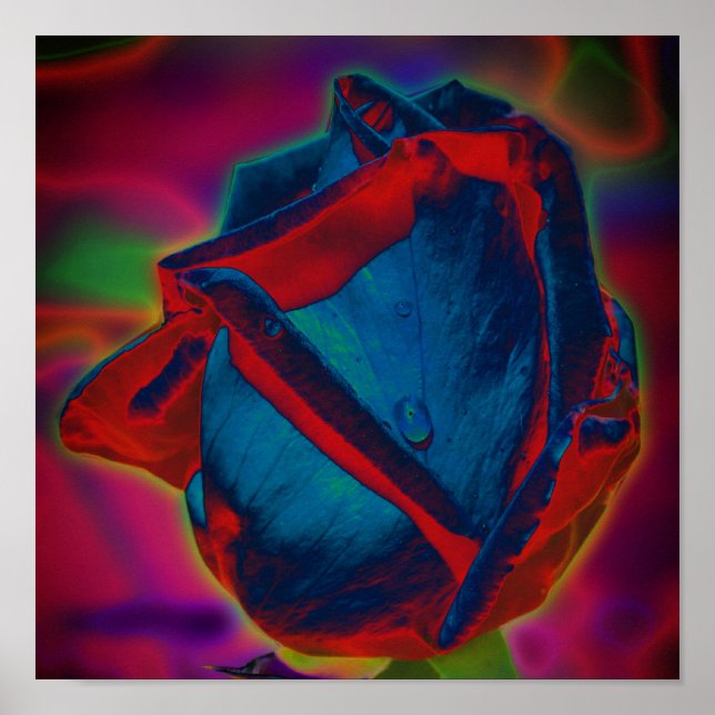 Poster Azul E Vermelho Rosebud Raindrop Abstrato Floral (Frente)