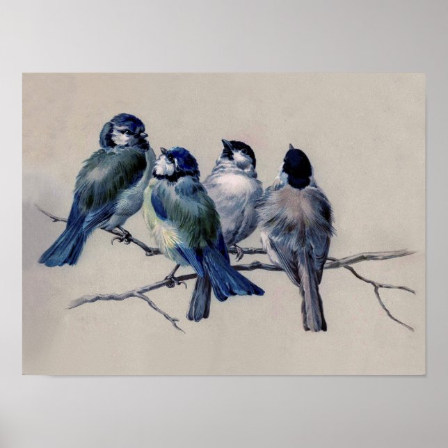 Poster Azul empoeirado e aves Cinzas em uma aquarela (Frente)
