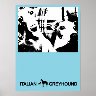 Poster Azul Greyhound Italiano