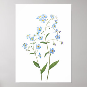 Poster azul me esqueça não das flores 2021 aquarela