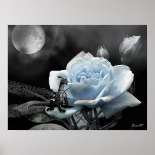 Poster azul-noites encantadas