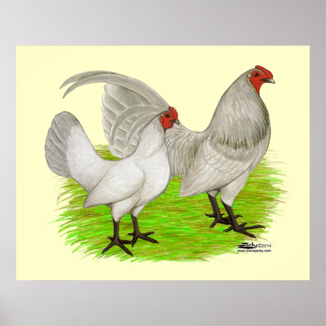 Poster Azul próprio para jogo antigo (Frente)