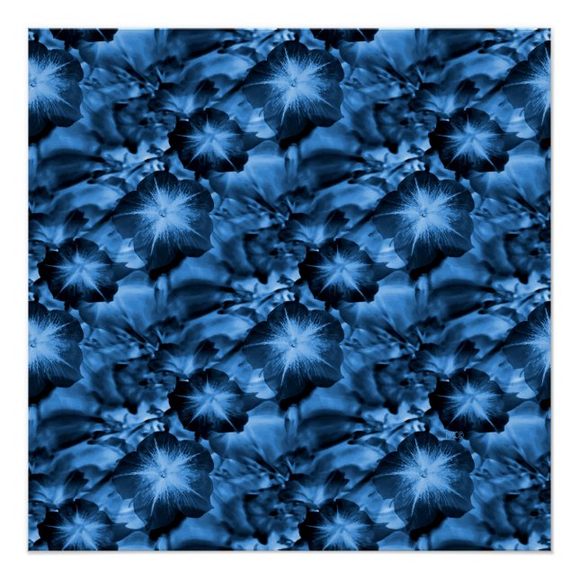 Pôster Azul Silky... (Frente)