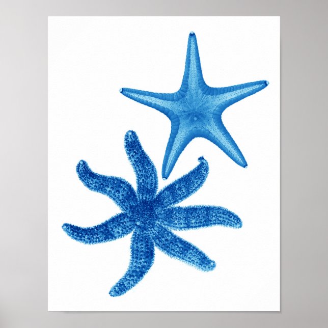 Pôster Azul Starfish n.º 5 decor de parede de praia (Frente)
