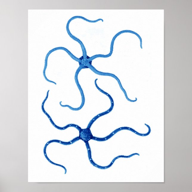 Pôster Azul Starfish n.º 6 decor de parede de praia (Frente)