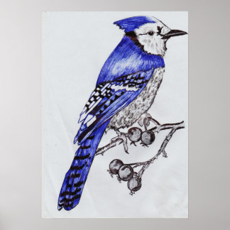 Poster Azulona Desenhada à Mão | Arte da Natureza em Tint