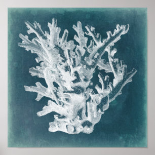 Pôster Azure Coral I