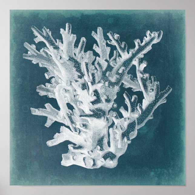 Pôster Azure Coral I (Frente)