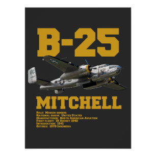 Pôster B-25 Mitchell   WW2 Plane