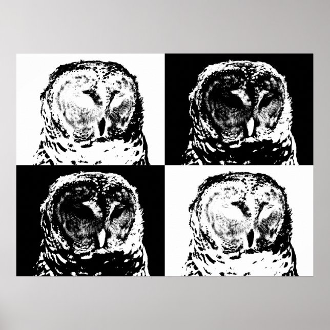 Pôster B/W Barred Owl Pop Art (Frente)