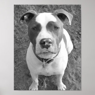 Poster B/W Chevy