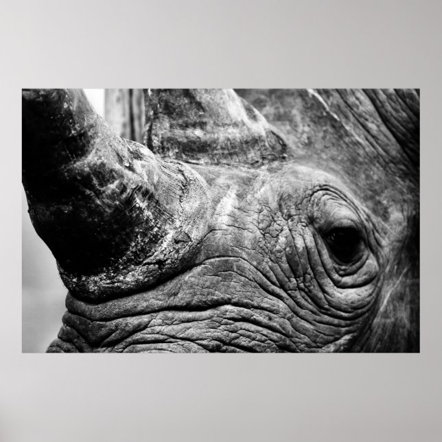 Pôster B&W Rhino (Frente)