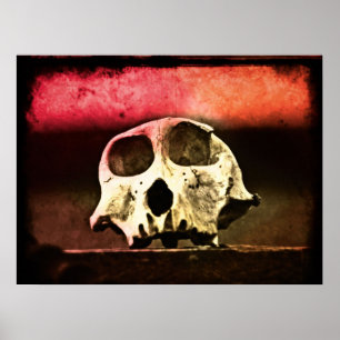 Poster Baboon Skull Sunset Art