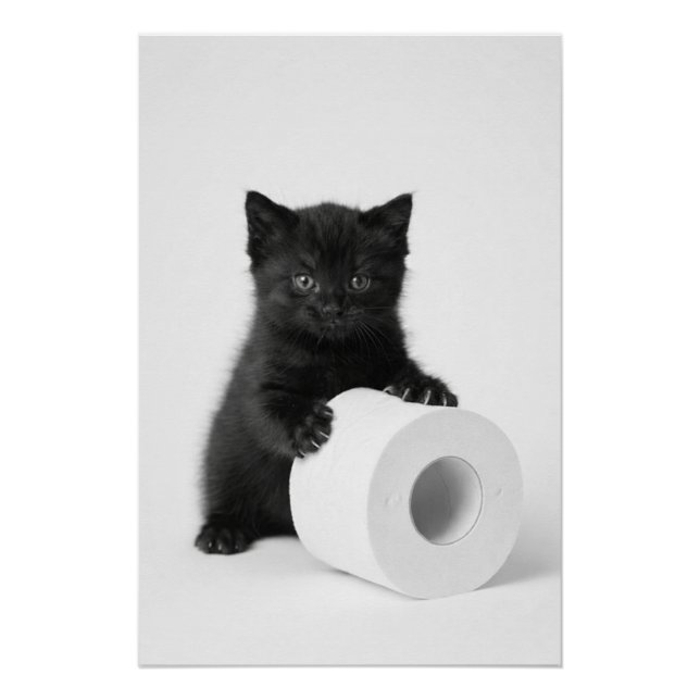 Pôster Baby Black Kitten Guarding Toilet Paper Roll On (Frente)