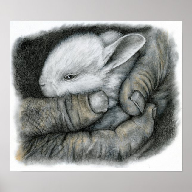 PÔSTER BABY BUNNY (Frente)