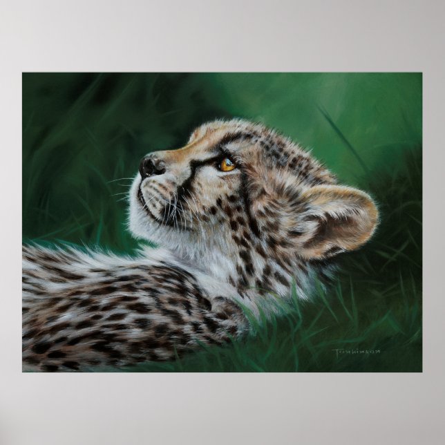 POSTER BABY CHEETAH FINE ART PRINT (Frente)