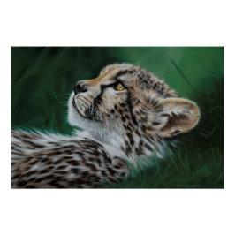 Pôster Baby Cheetah Fine Art Print 71x47cm