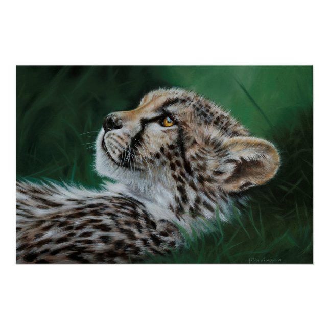 Pôster Baby Cheetah Fine Art Print 71x47cm (Frente)