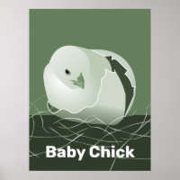 Baby Chick Green Kitchen Wall Art