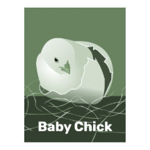 Baby Chick Green Kitchen Wall Art