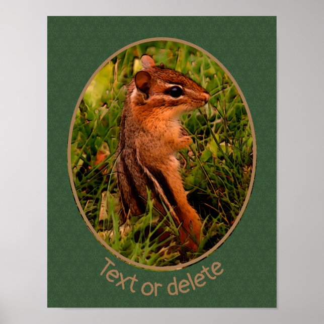 Poster Baby Chipmunk Willife Animal Art Personalizado (Frente)