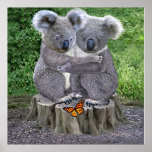 PÔSTER BABY KOALA HUGGIES