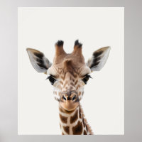 Baby Safari African Selgle Animal Giraffe