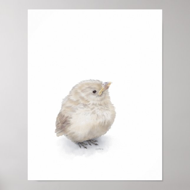 Pôster Baby Sparrow Digital Watercolor (Frente)