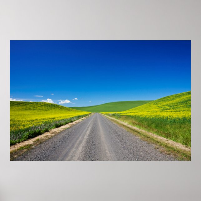 Poster Backcountry road through Spring Canola Fields (Frente)