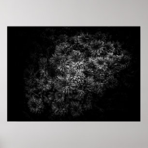Poster Backyard Flowers In Black And White No 29