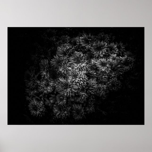 Poster Backyard Flowers In Black And White No 29 (Frente)