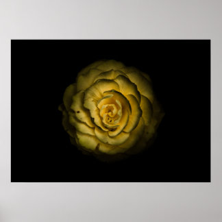 Poster Backyard Flowers No 85 Color Version