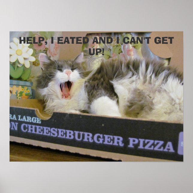 Poster Bacon Cheeseburger Pizza Gatinho de Sobredosagem (Frente)