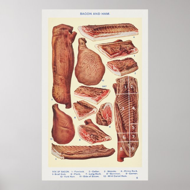 Poster Bacon e Ham (Frente)