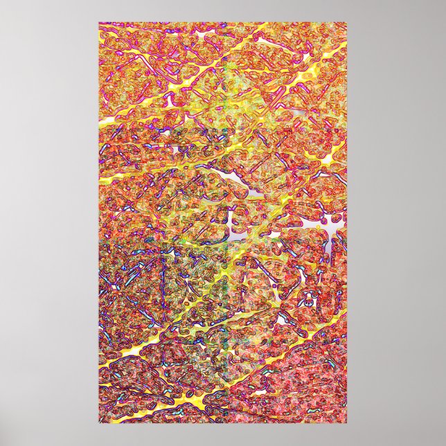 Pôster Bactéria (Frente)