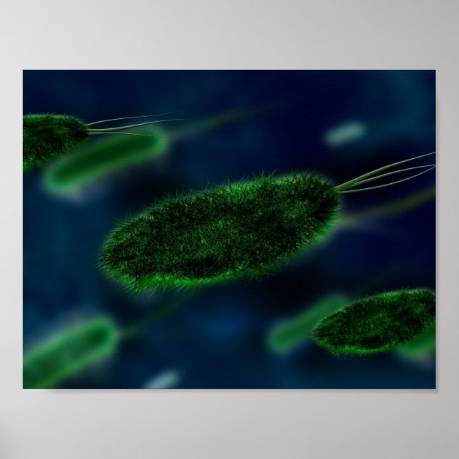 Poster Bacteria Microbes (Frente)