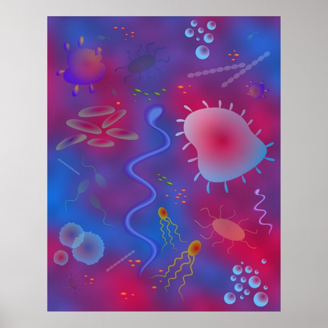 Pôster Bactérias (Frente)