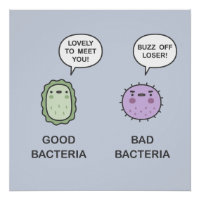 Bacterias Boas, Bactérias Más