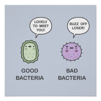 Pôster Bacterias Boas, Bactérias Más