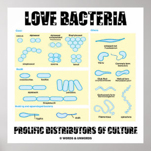 Pôster Bacterias Do Amor Distribuidores Prolíficos Da Cul