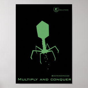 Poster Bacteriófago